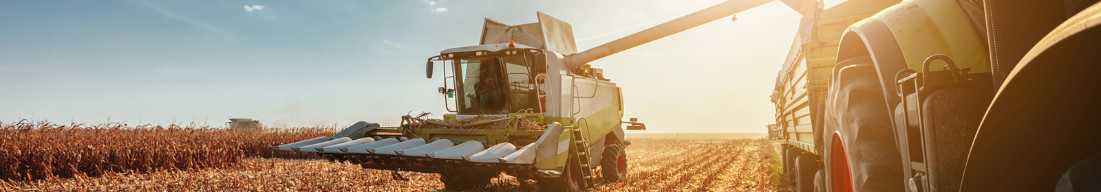 combine and grain bin working in wheat field