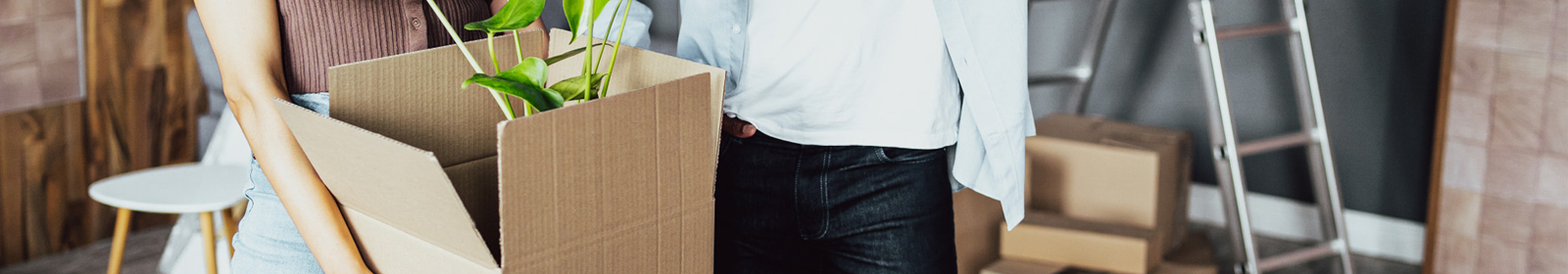 person holding cardboard box with plant in it and ladder in background