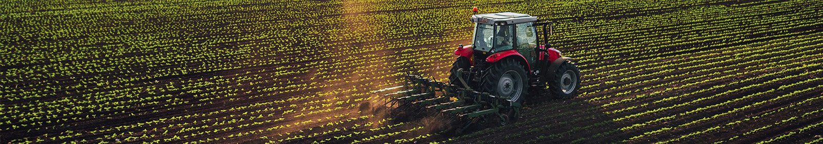 red tractor pulling a cultivator through crop field